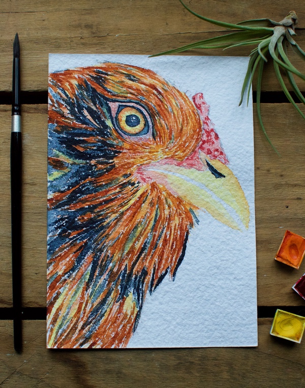 Chicken Watercolor Painting