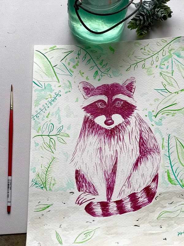 Raccoon Illustration in India Ink